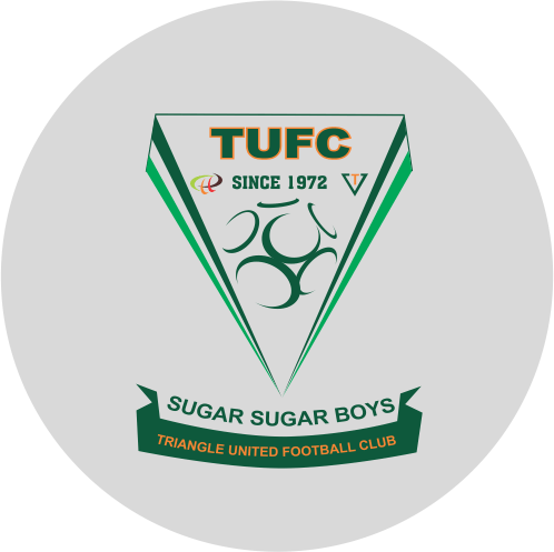 Triangle FC team logo